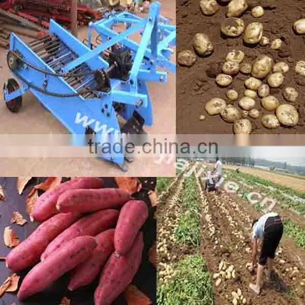 one row potato harvester