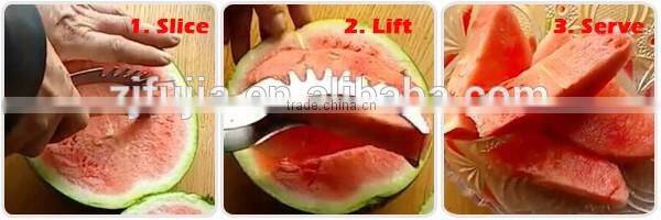 As seen on TV right choice Convenient Magic Watermelon slice for home use