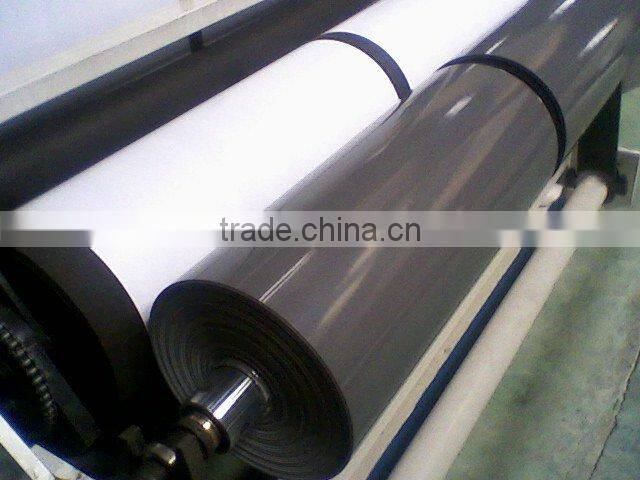 LDPE/HDPE frozen food packaging