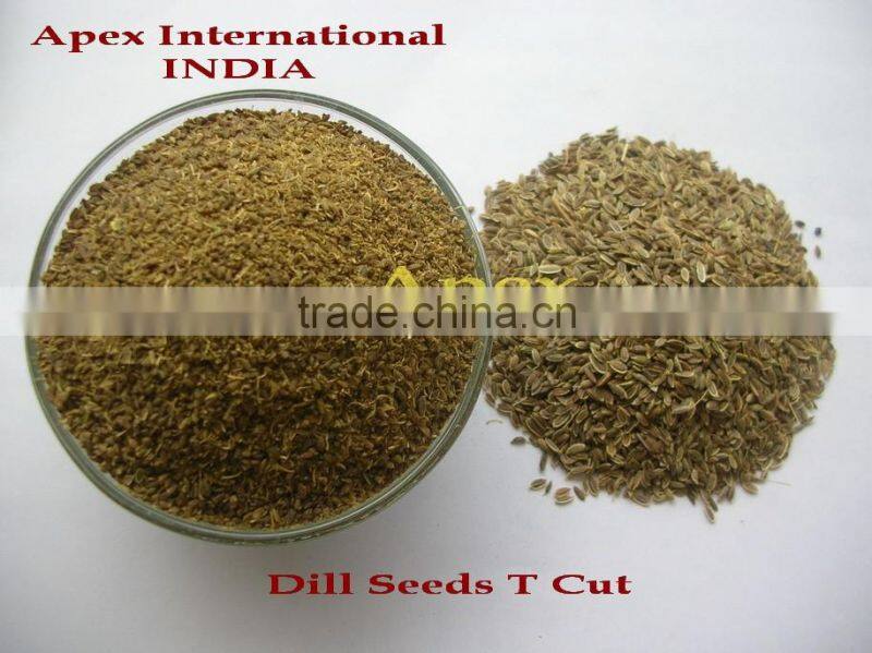 Dill Seeds TBC