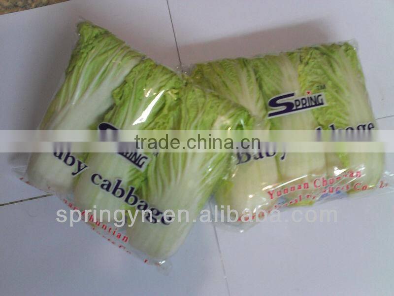High Quality Fresh Organic Cabbages Good Price Chinese Cabbage for Sale