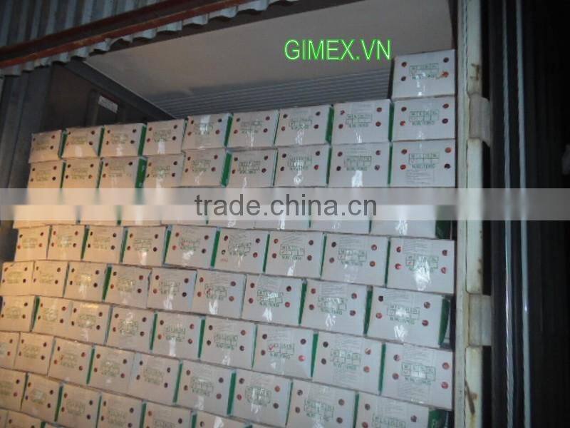 VIETNAM FRESH CARROTS CHEAP