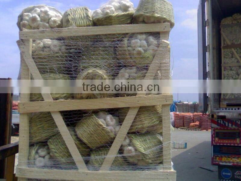 wholesale garlic 2017Hot sale Egyptian fresh garlic (Red, White) for export