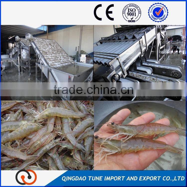shrimp cleaning and sorting machine