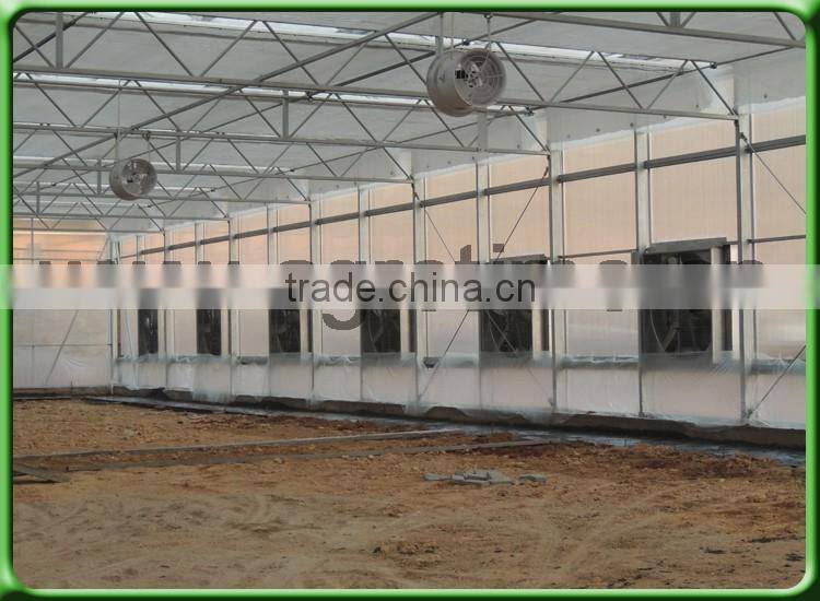 China Venlo Glass Greenhouse