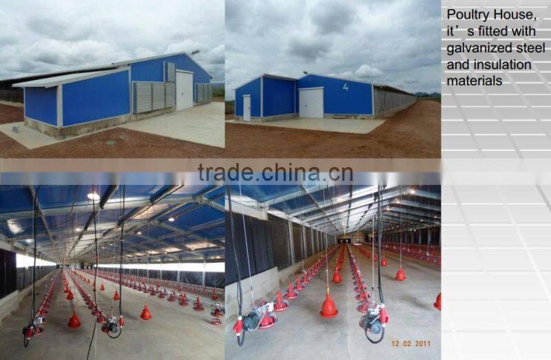 steel structure Poultry farm prefabricated warehouse