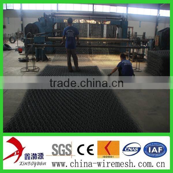 pvc hexagonal netting mesh/hexagonal mesh