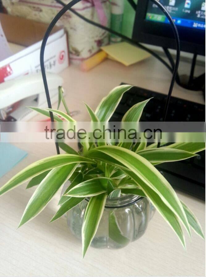 hang transparent glass vase/Other copper grass plants hang bottle hydroponic flower pot