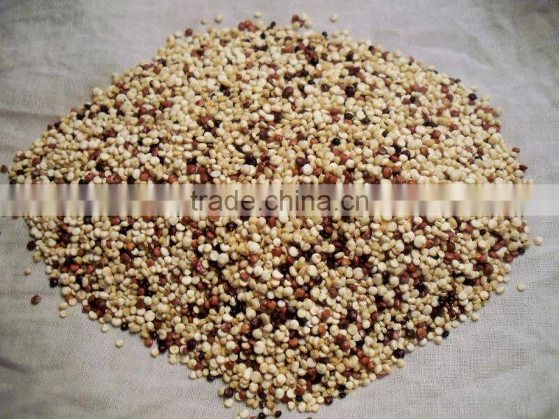 quinoa sorting machine color sorter