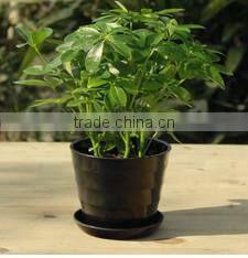 15040113 melamine cake plate/ fruit melamine plate ware/dessert melamine plate