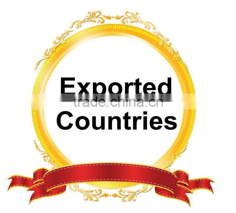 electric motor sandblaster washer