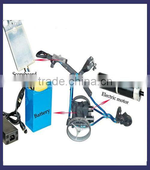 2013 cheap electric golf cart for sale