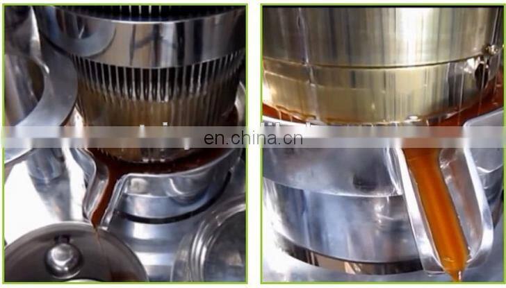 Walnut Hydraulic Oil press/Oil presser/oil pressing machine