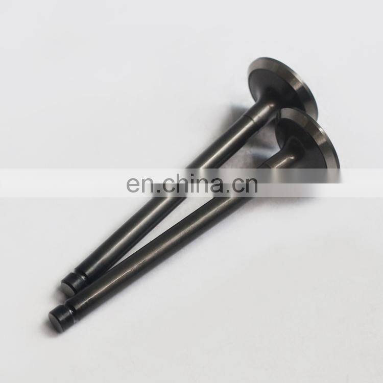 Forklift Excavator Machinery Engine A1400 A1700 A2300 Parts Exhaust Valve 4900338 4900337