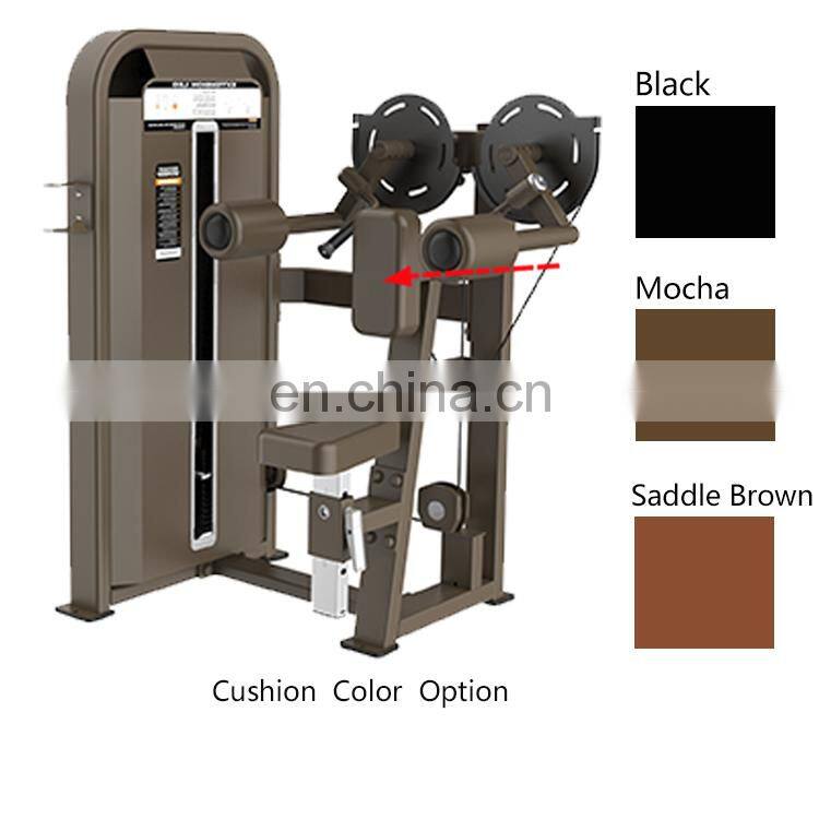 Dezhou Ningjin Gym Equipment E5005 Lateral Rise Indoor Sports Equipment