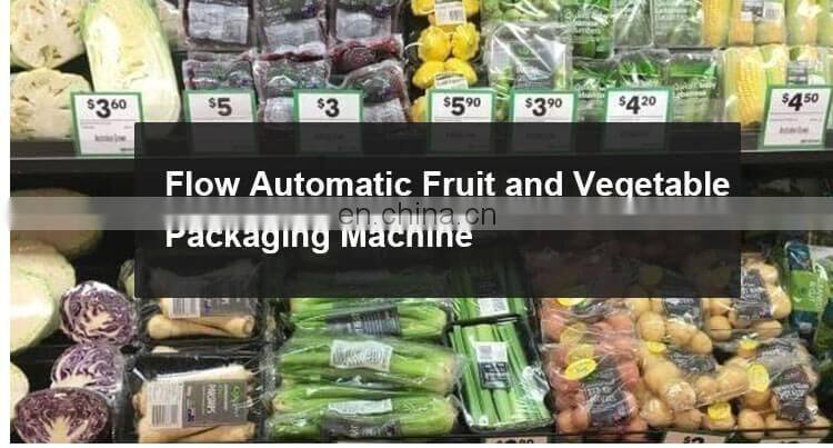 Professional factory garlic bag packaging machine