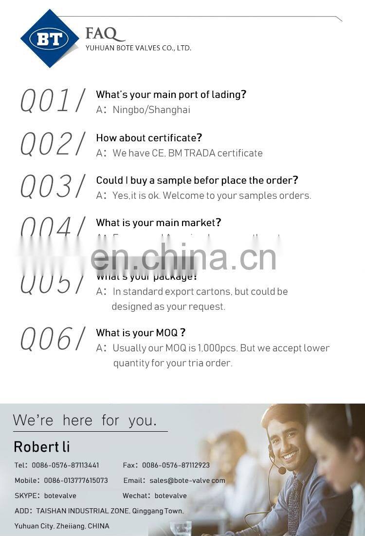 BT4009 high pressure gate valve