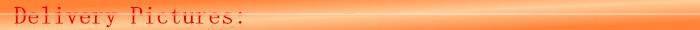 China Environmental Loader Spare Parts Fuel Filter