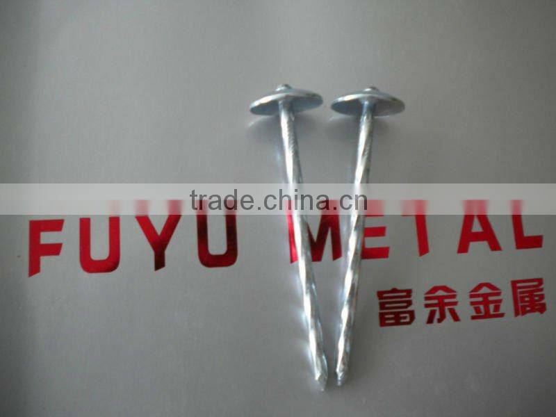 galvanized roofing nails with umbrella head/umbrella head nails /galvanzied roofing nail