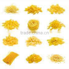 automatic pasta machine italy