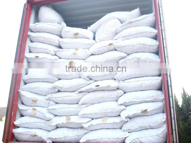 shandong raw peanuts in shell peanuts 1kg price