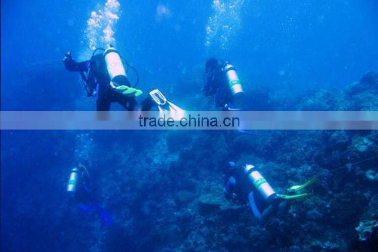 C42 T6 High Power dive flashlight