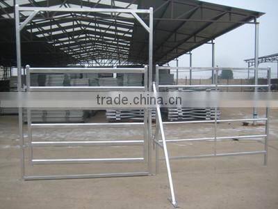 Welded Square Tube Frame and Oval Rail Cattle Panel Gate (Standard Australia Fence)
