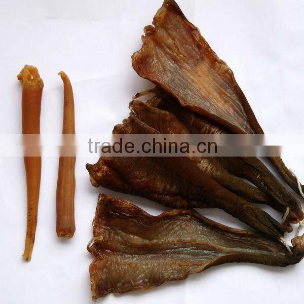 High quality new geoduck meat seafood
