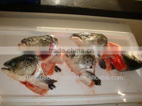 ATLANTIC SALMON HEADS