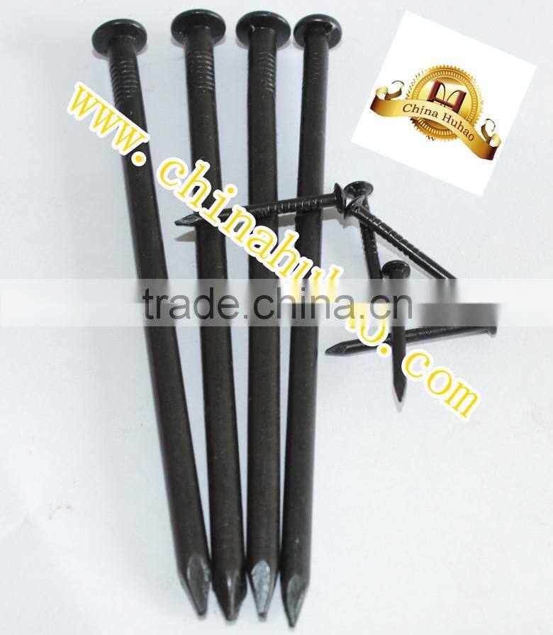 Alibaba gold supplier #55 concrete steel nails