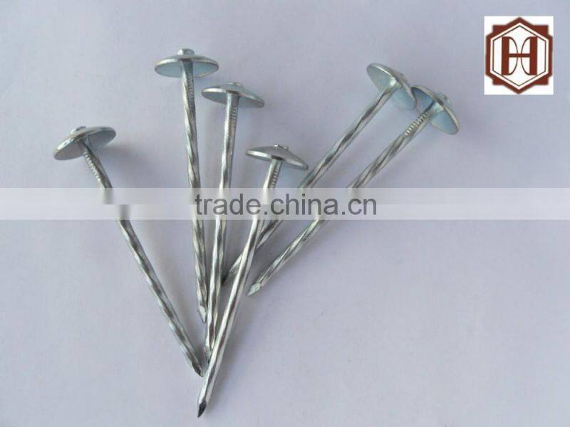 umberlla roofing nail from china supplier