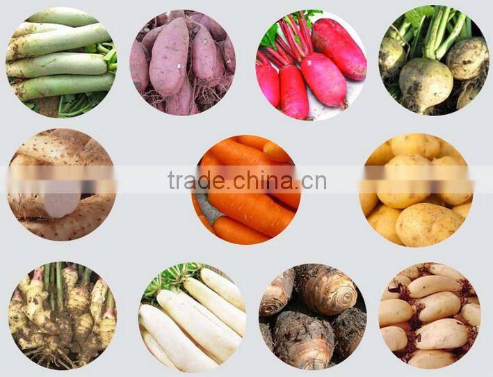 Fruits and vegetables cleaning and peeling machine