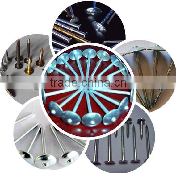 galvanized nail coil nail