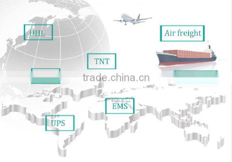 Portable Ultrasound Machine Price