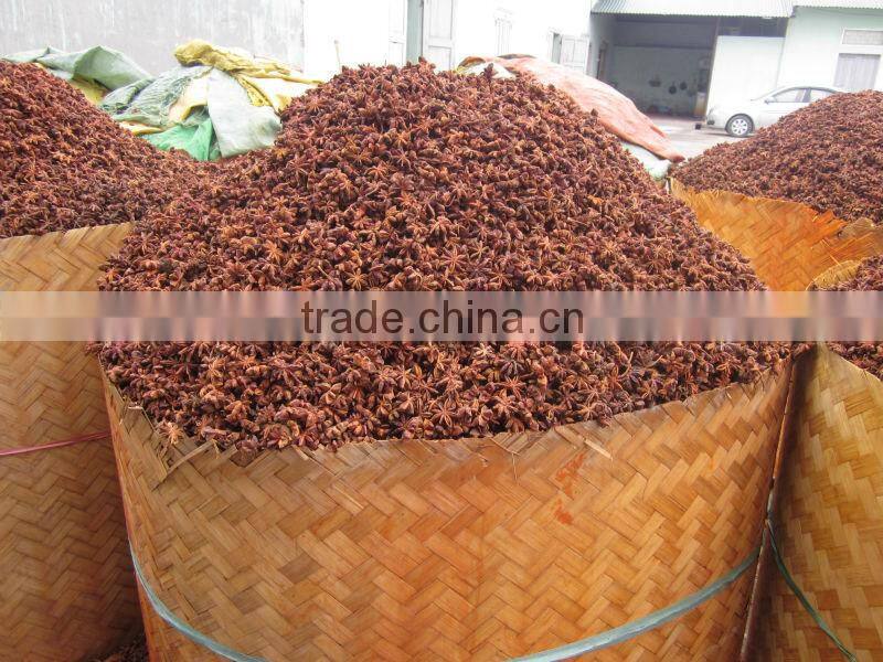 AUTUMN STAR ANISEED (skype: tuanminhco)