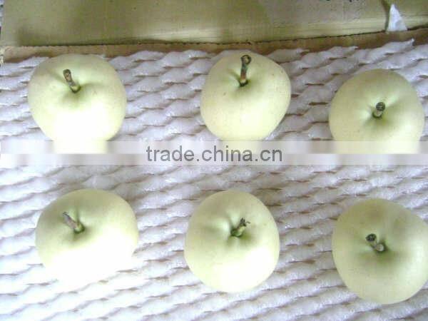 China fresh emerald pear with cheap price and good quality