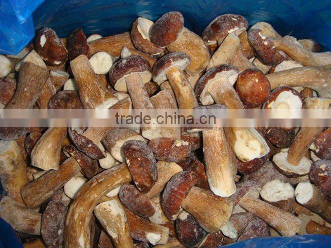 Chinese cut boletus edulis