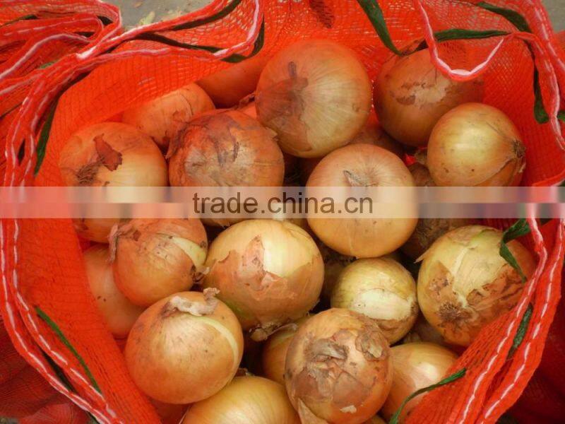 Wholesale Yellow Onions 2016 Crop New Arrival!