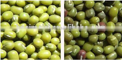 Belt Model Mung Bean Color Sorter Machine with Nikon Lens 0086 371 65866393