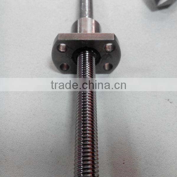 1mm pitch 1mm Thread starts stainless steel Ball-Screws 0601