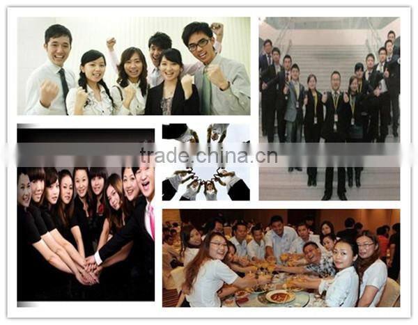 IR 17x 24x 20 high quality cheap price large needle bearing sizes with full stock