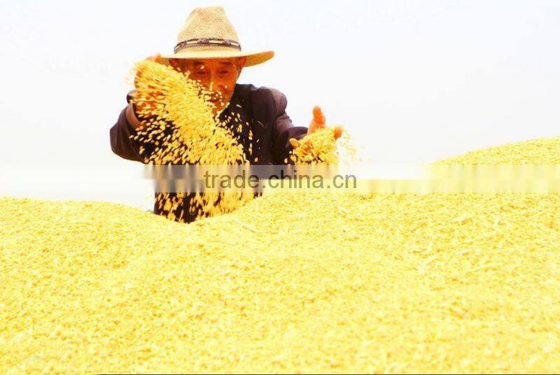 4LZ-1.0 Best sale Mini combine harvester for sale