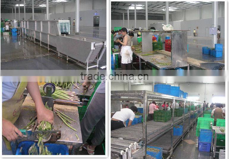 GP-II Model Pre-treatment Production Line For Vegetable Dehydration Line