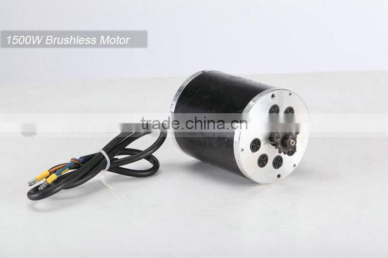 1300W 48V Brushless 2 Wheel Electric Scooter with 12" Wheel HP107E-C