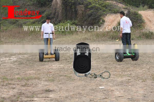 Leadway 2400W The tire: 19Motor power 2400W6 groups gyroscope electric chopper bike off road( RM09D-T565)