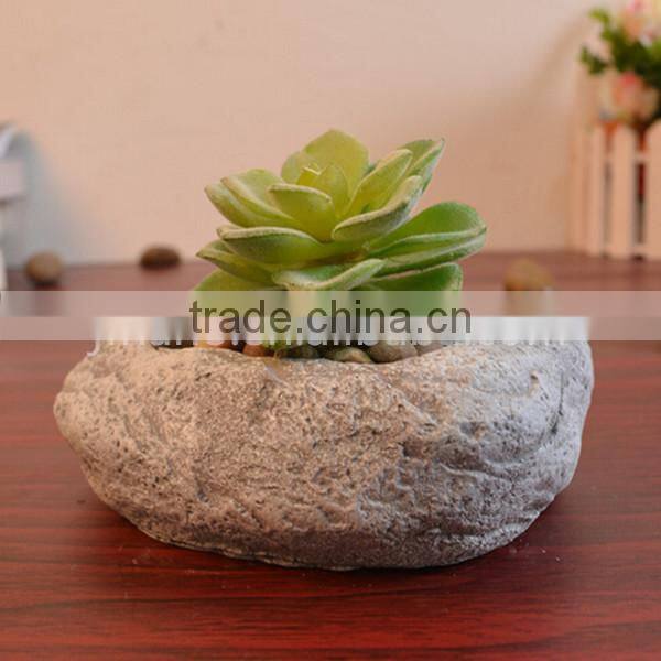 Succulent plant small indoor stone flowerpot