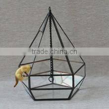 Micro landscape indoor glass greenhouse/ clear glass indoor plant terrarium /Geometric Glass Terrarium