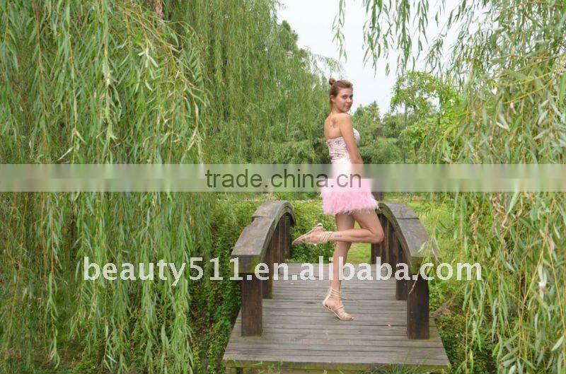 Astergarden Real Photo Pink Beading Short Strapless Feather Dress AS140