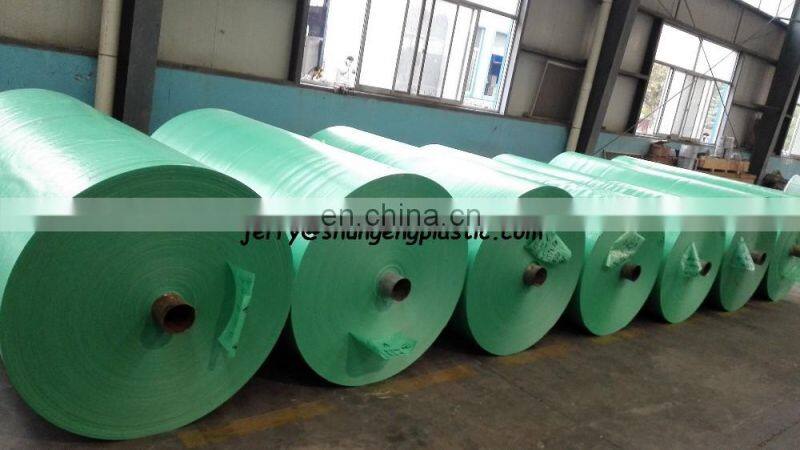 highe tensile strength pe tarpaulin roll 2m x 100m and 2m x 50m roll size