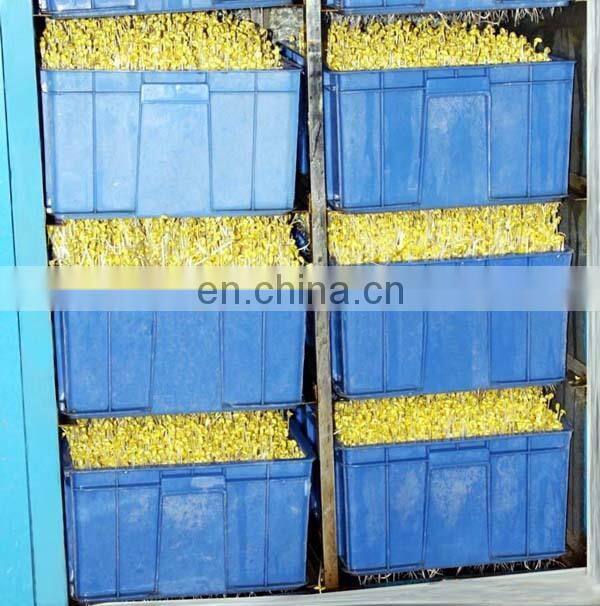 Healthy Automatic green bean sprouting machine for sale